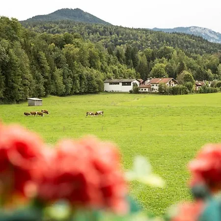 Am Alpenrand Apartment Siegsdorf